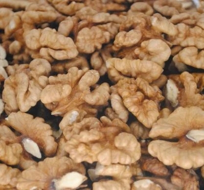 Wholesale bulk xinjiang walnut kernels with free sample to export