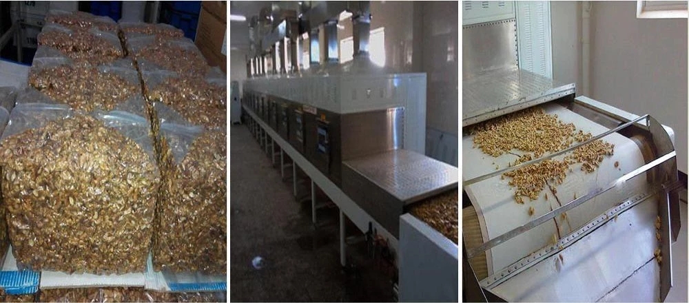 Wholesale bulk xinjiang walnut kernels with free sample to export