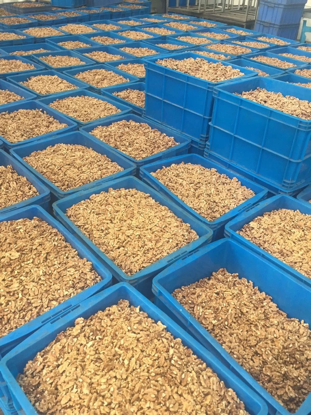 Wholesale bulk xinjiang walnut kernels with free sample to export
