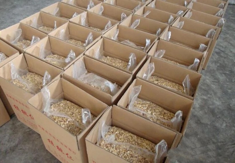 Wholesale bulk xinjiang walnut kernels with free sample to export