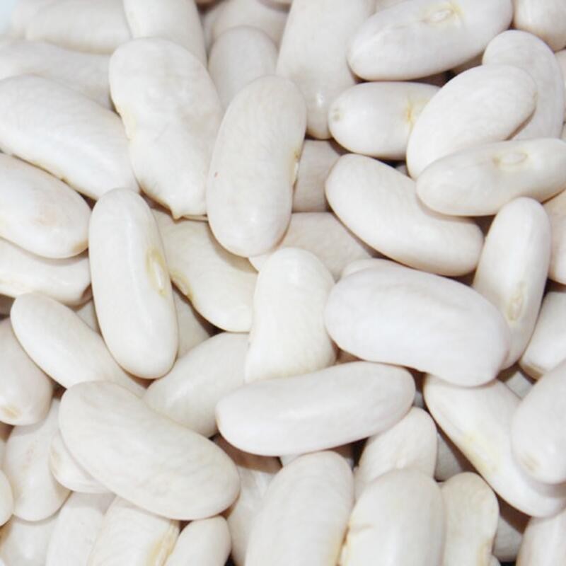 New Crop Natural Dried White Kidney Beans for sale with lowest price