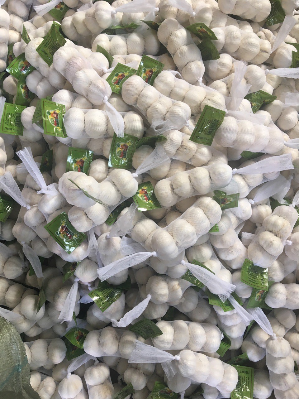 Fresh Pure White Normal White Purple White garlic supplier in China