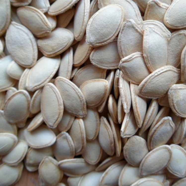 Cheap White Pumpkin Seeds Pumpkin Seeds Grown Best Price Pumpkin Seeds 