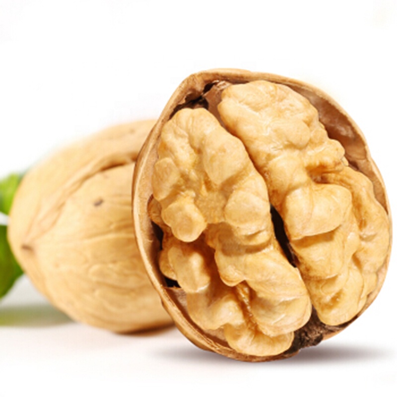 China factory wholesale walnuts in shell with cheap price,China price ...