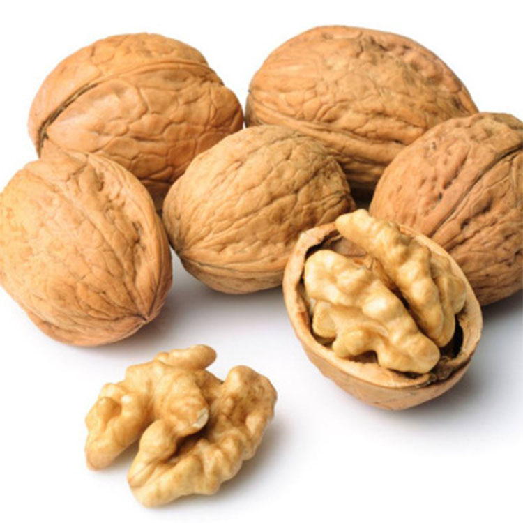 Chinese good quality walnuts Good taste walnut kernel Walnuts in Russia ...