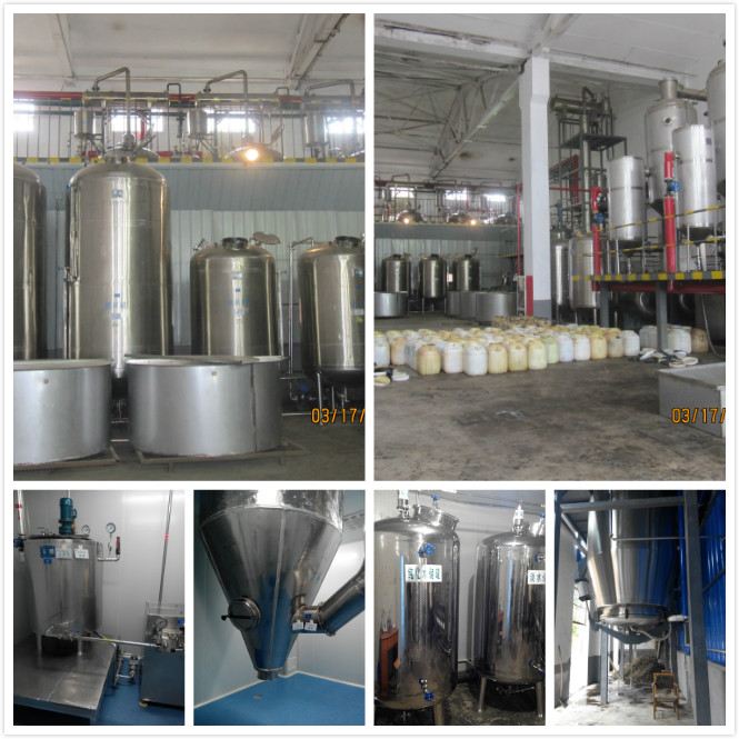 High Quality GMP standard Maca root Extract Powder/Maca root Powder/Maca Powder