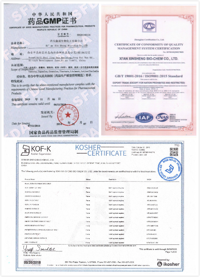 High Quality GMP Standard High-fructose corn syrup HFCS / Glucose Fructose