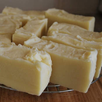100% REFINED BEEF TALLOW WHOLESALE