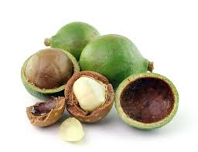 Best Quality Macadamia Nut/ QUALITY ALMOND, MACADEMIA