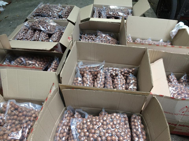 Best Quality Macadamia Nut/ QUALITY ALMOND, MACADEMIA