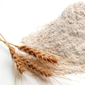 Wheat Flour for Bread, Wheat four for baking, White Wheat flour ...