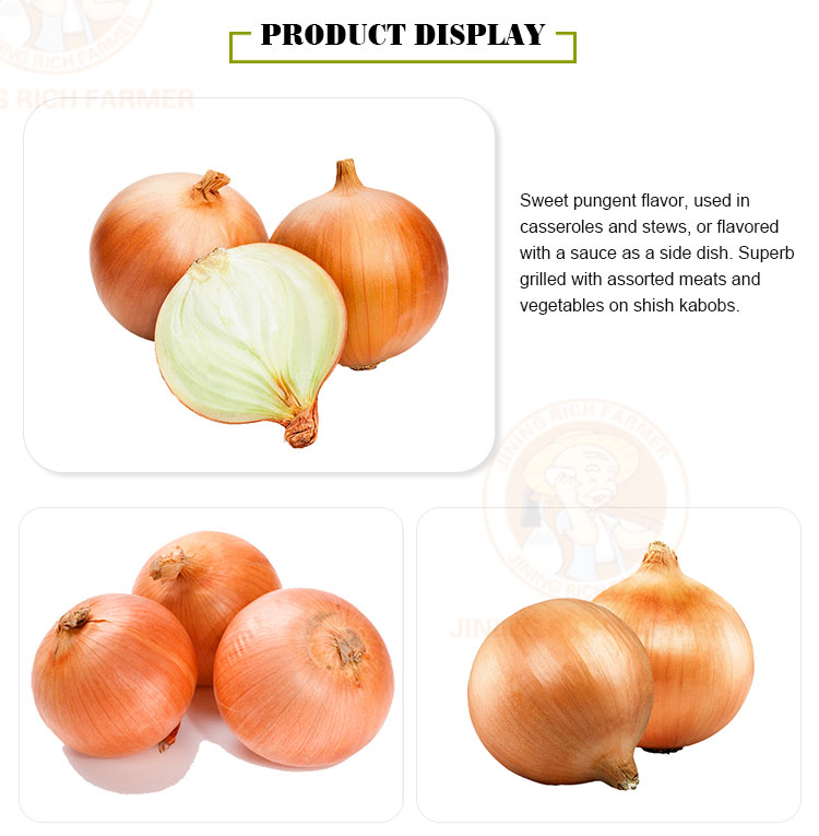 high quality China fresh red onion price