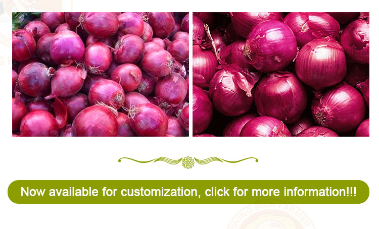 high quality China fresh red onion price