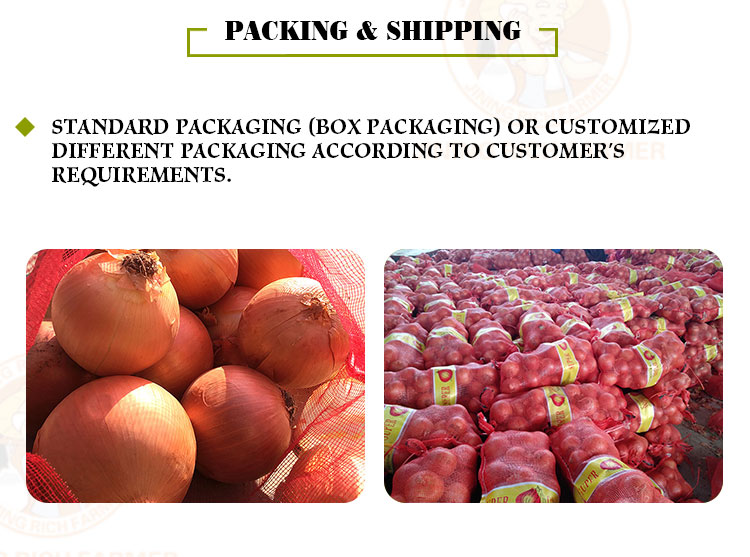 high quality China fresh red onion price