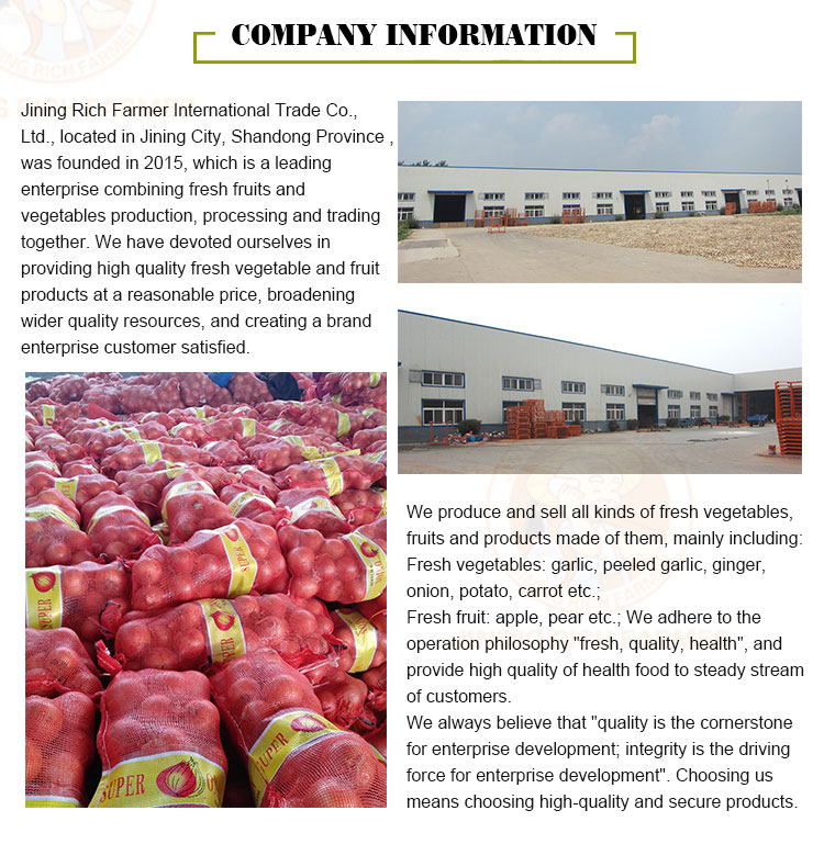 high quality China fresh red onion price