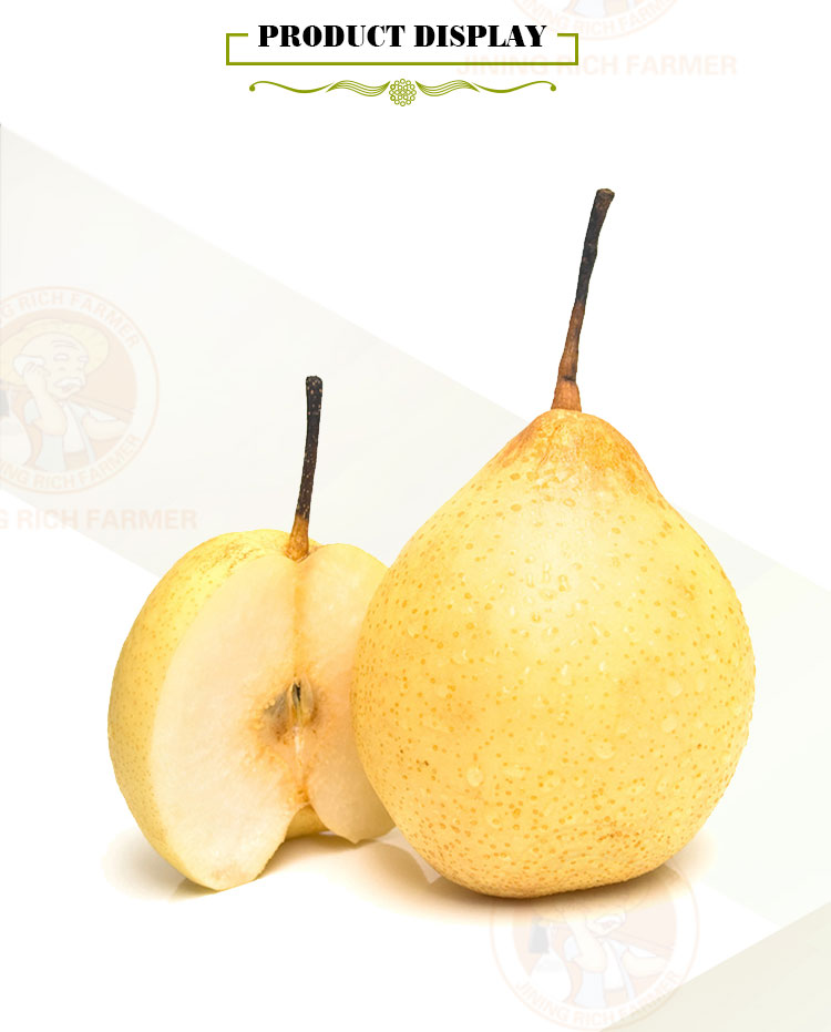 Fresh juicy pears wholesale sale fresh fruit