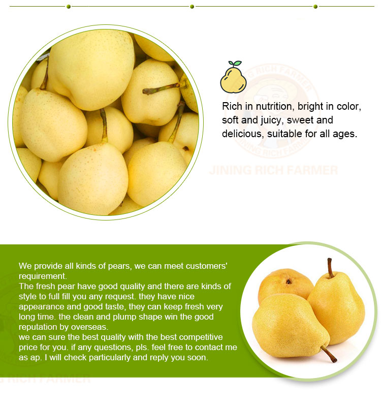 Fresh juicy pears wholesale sale fresh fruit