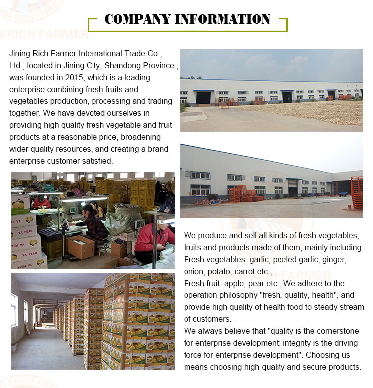 Fresh juicy pears wholesale sale fresh fruit