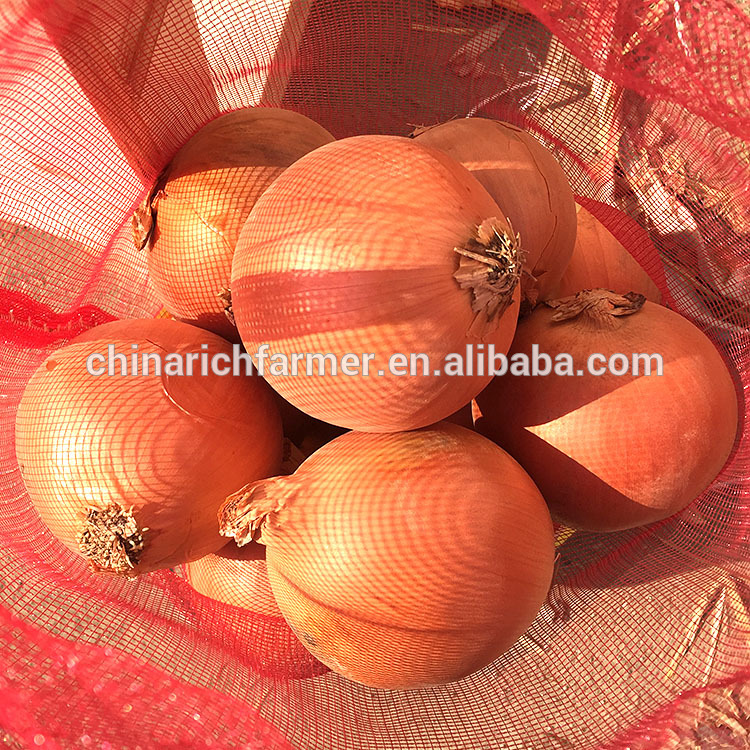 Fresh red market price red yellow onion prices