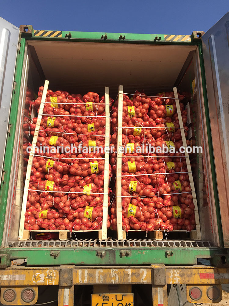 China 9cm Yellow Onion Market Prices