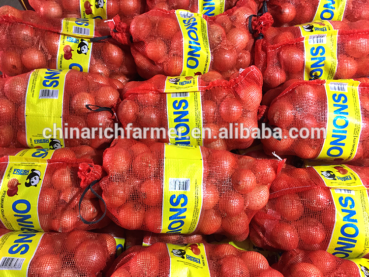 Fresh Indian Big Onion for Export Vietnam Malaysia Singapore