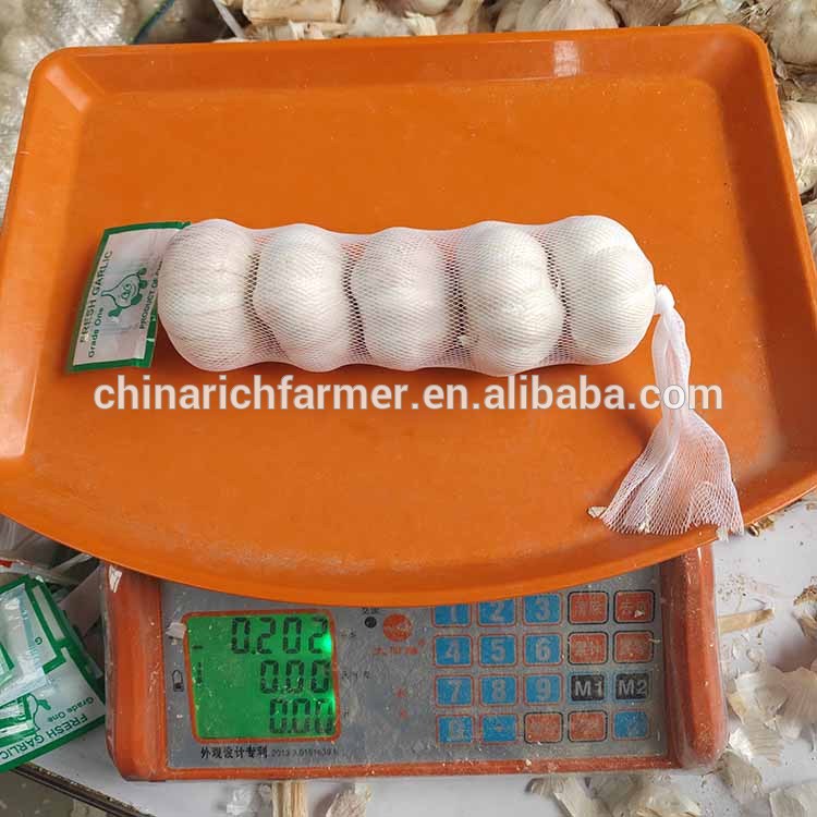 Cool Store Materials White Garlic 4.5/5.0/5.5cm Size Prices No Sprout
