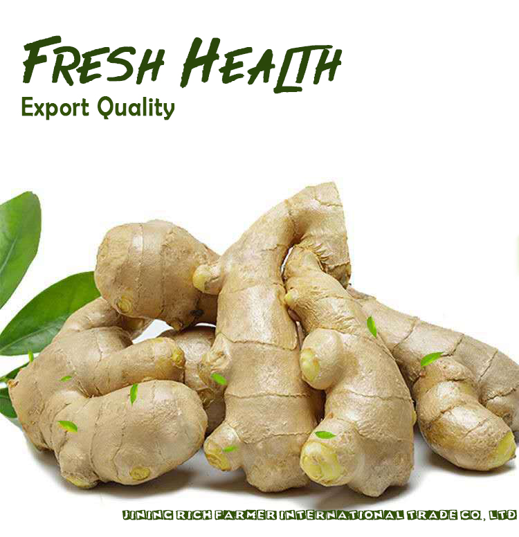 Export Chinese Fresh Red Ginger Is Crazy And Uping Every Day Products China Export Chinese Fresh Red Ginger Is Crazy And Uping Every Day Supplier