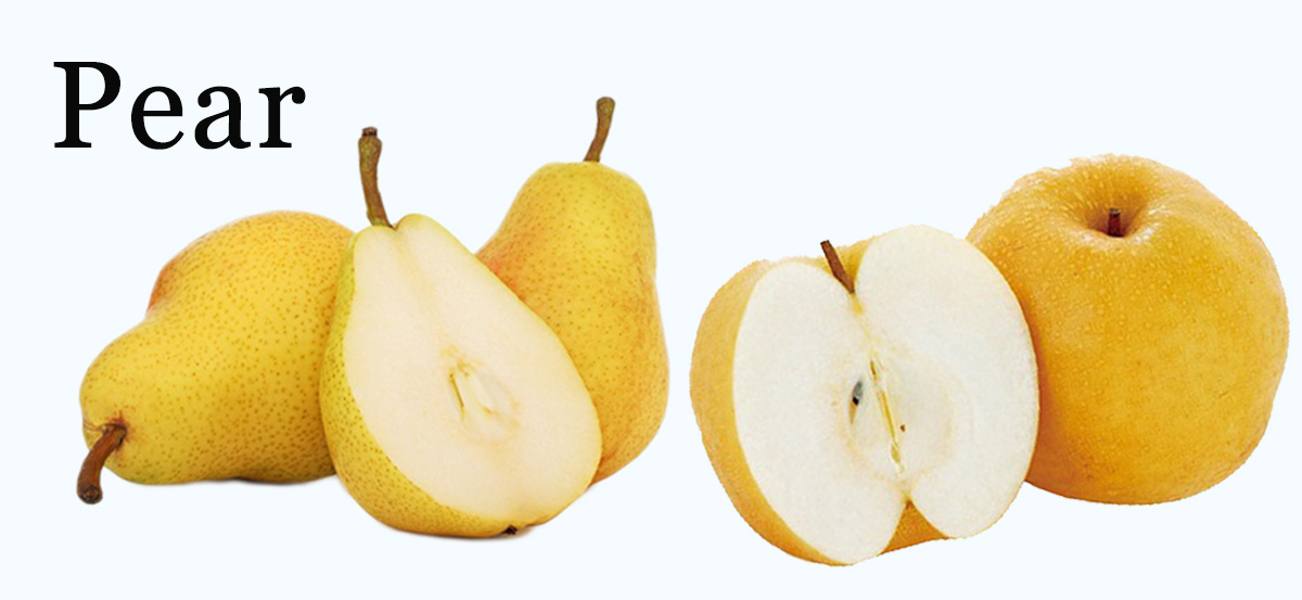 Chinese Common Fresh Sweet Pears Price,China price supplier - 21food