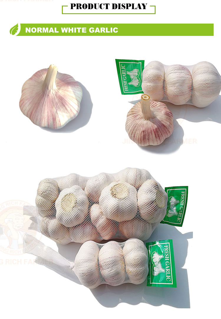 High quality wholesale organic fresh garlic price
