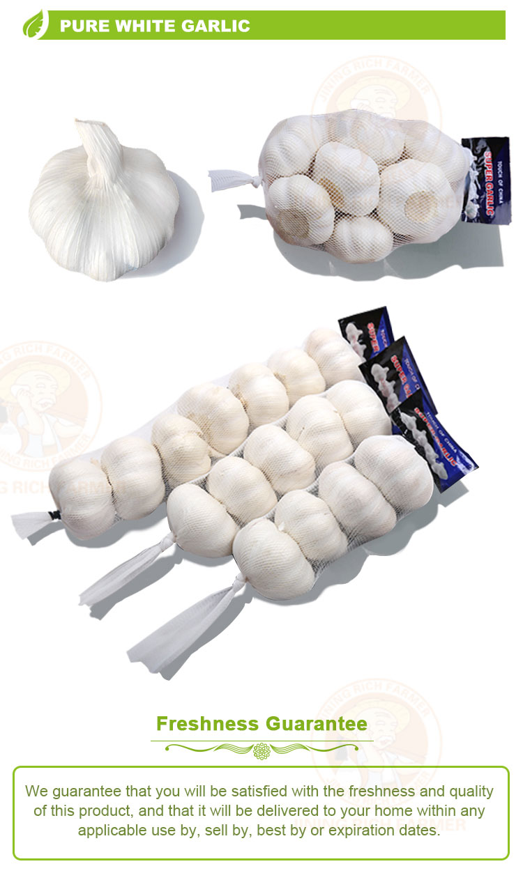 High quality wholesale organic fresh garlic price