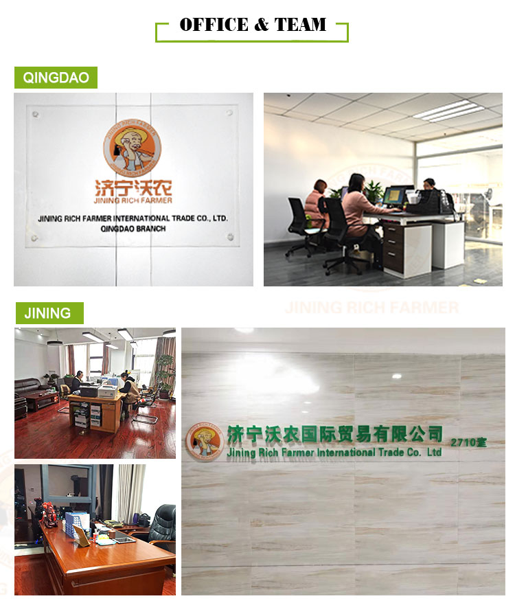 High quality wholesale organic fresh garlic price