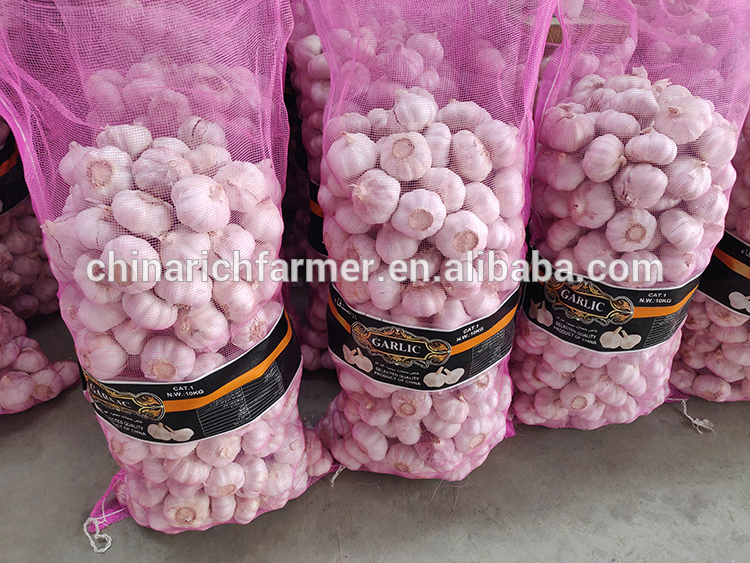 High Quality Fresh Garlic Price In China 5cm Specification