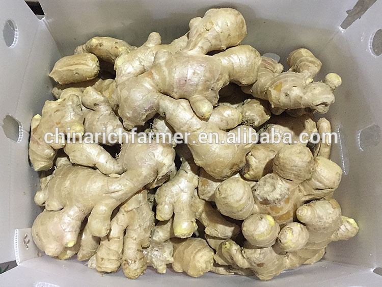 Fresh air half dried ginger popular