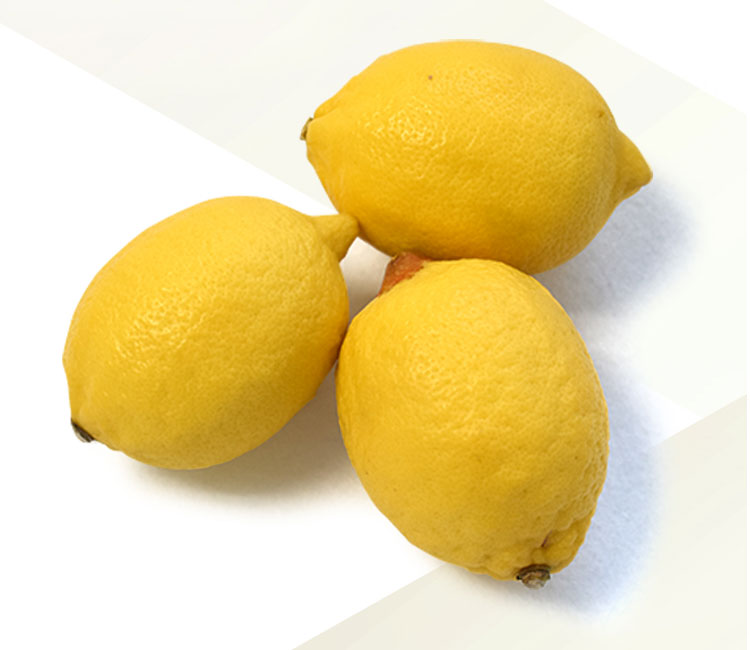 Fresh and Zesty Lemons available in 15kg containers