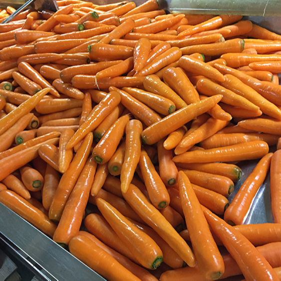 Organic Cultivation Carrots For Sale Hot,China price supplier - 21food