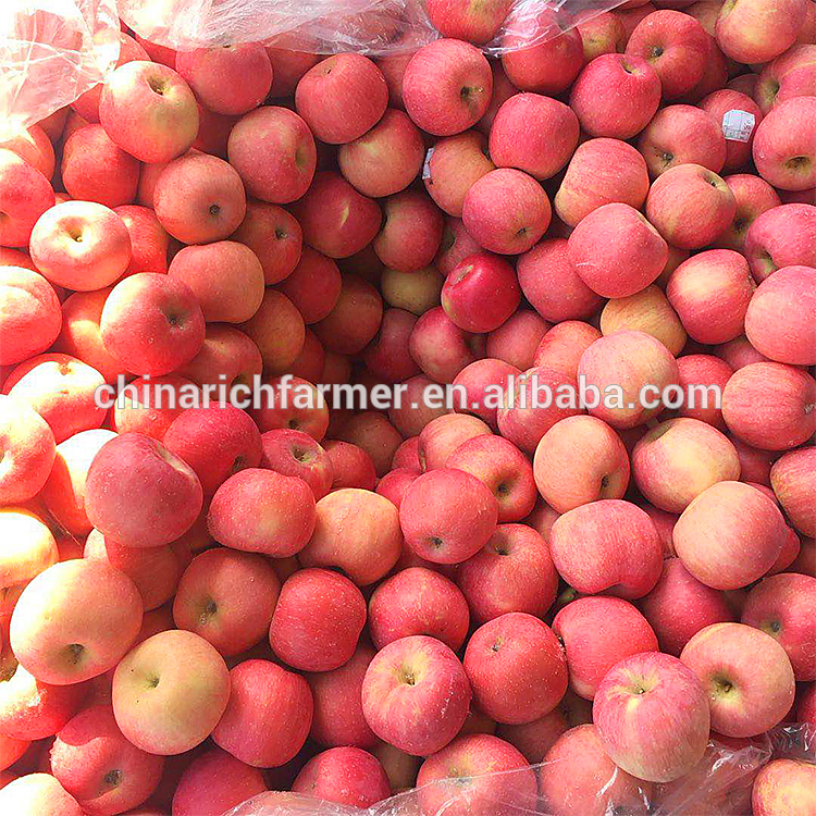 2020 New Crop Fresh China Red Paper Bagged FUJI Apple China Manufacturer