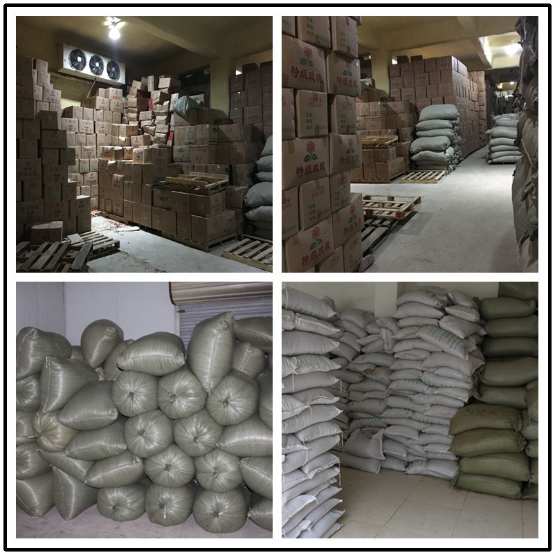 Factory Price Red  Extract Korean Red Ginseng Extract Price Ginseng Berry Extract Supplement