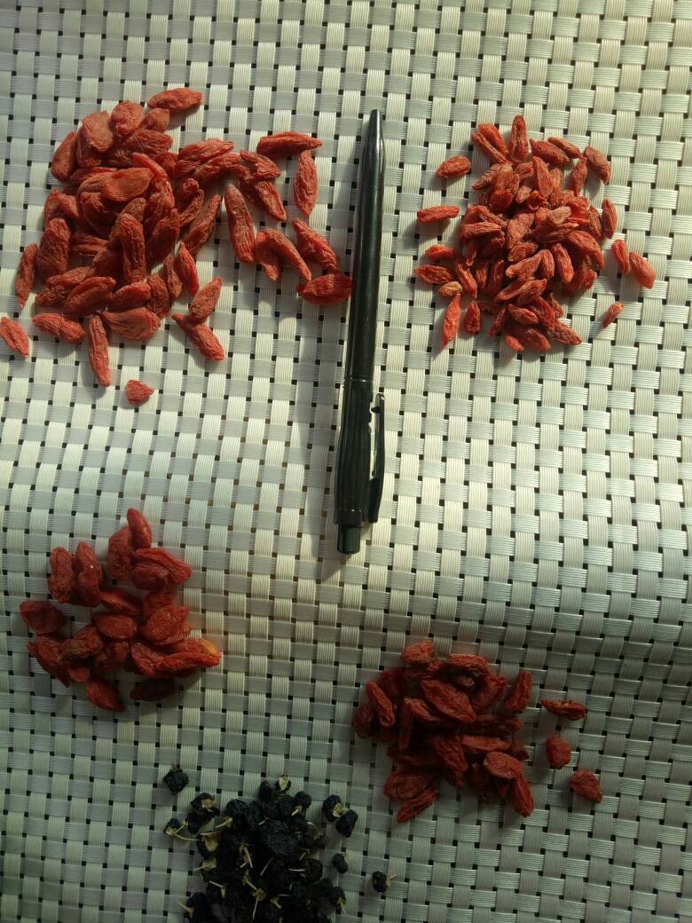 Factory price Ningxia  Berry Goji Berry Price Bulk Goji Berries