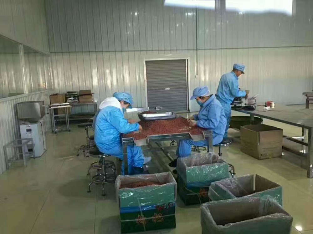 Factory price Berries 10Kg Ningxia Goji Berry Goji Berry Price
