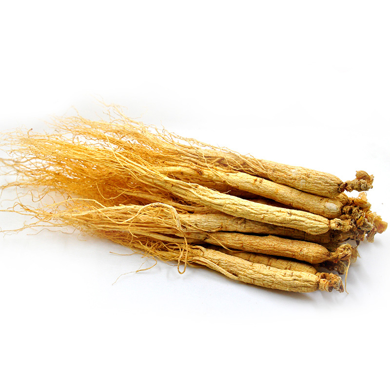 Panax Dried Ginseng/ginseng root/white ginseng,China price supplier ...