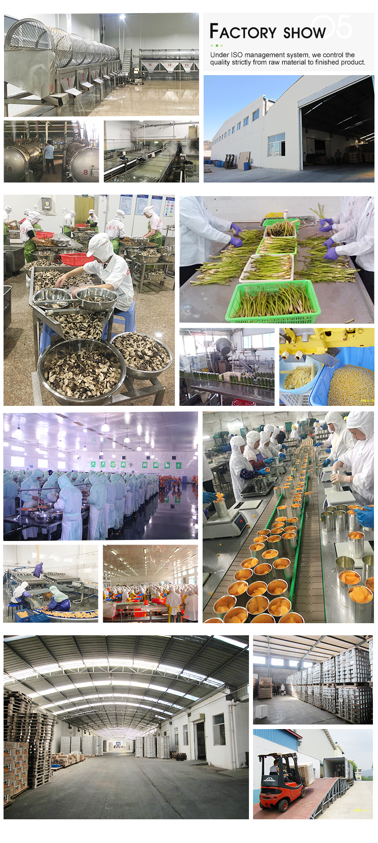314ml Chinese canned mushroom slices, fresh pack champignon in jar