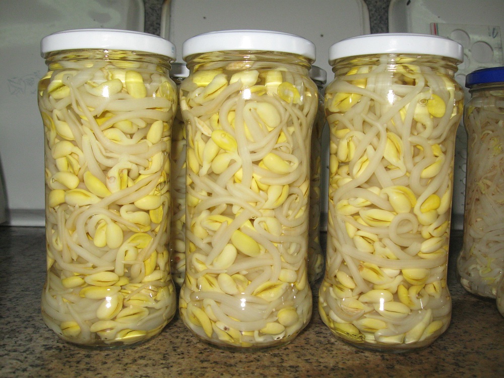 370ml soya bean sprout in brine in glass jar OEM Chinese canned vegetable