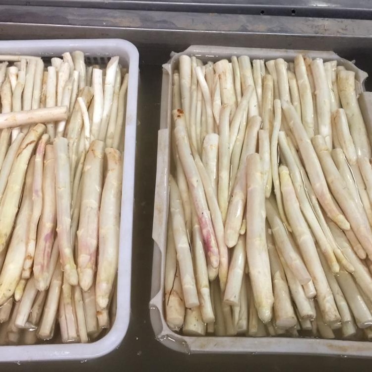 canned white asparagus tips and cuts 6/3100ml in cans