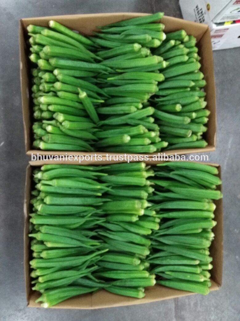 Organic Okra/Lady finger/Fresh Indian Vegetables!