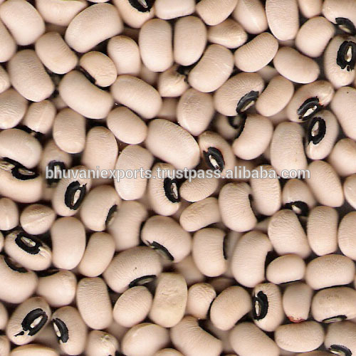 Black Eyed Beans/Grains!
