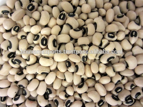 Black Eyed Beans/Grains!