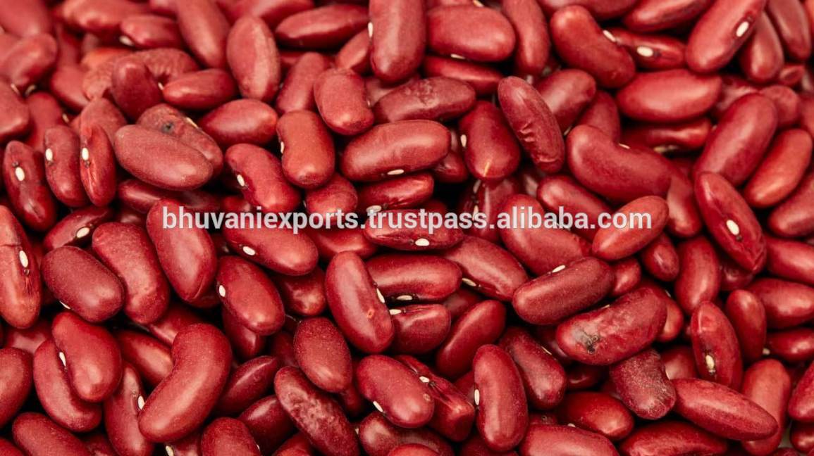 Long Red Kidney Beans/Grains/Kidney Beans!