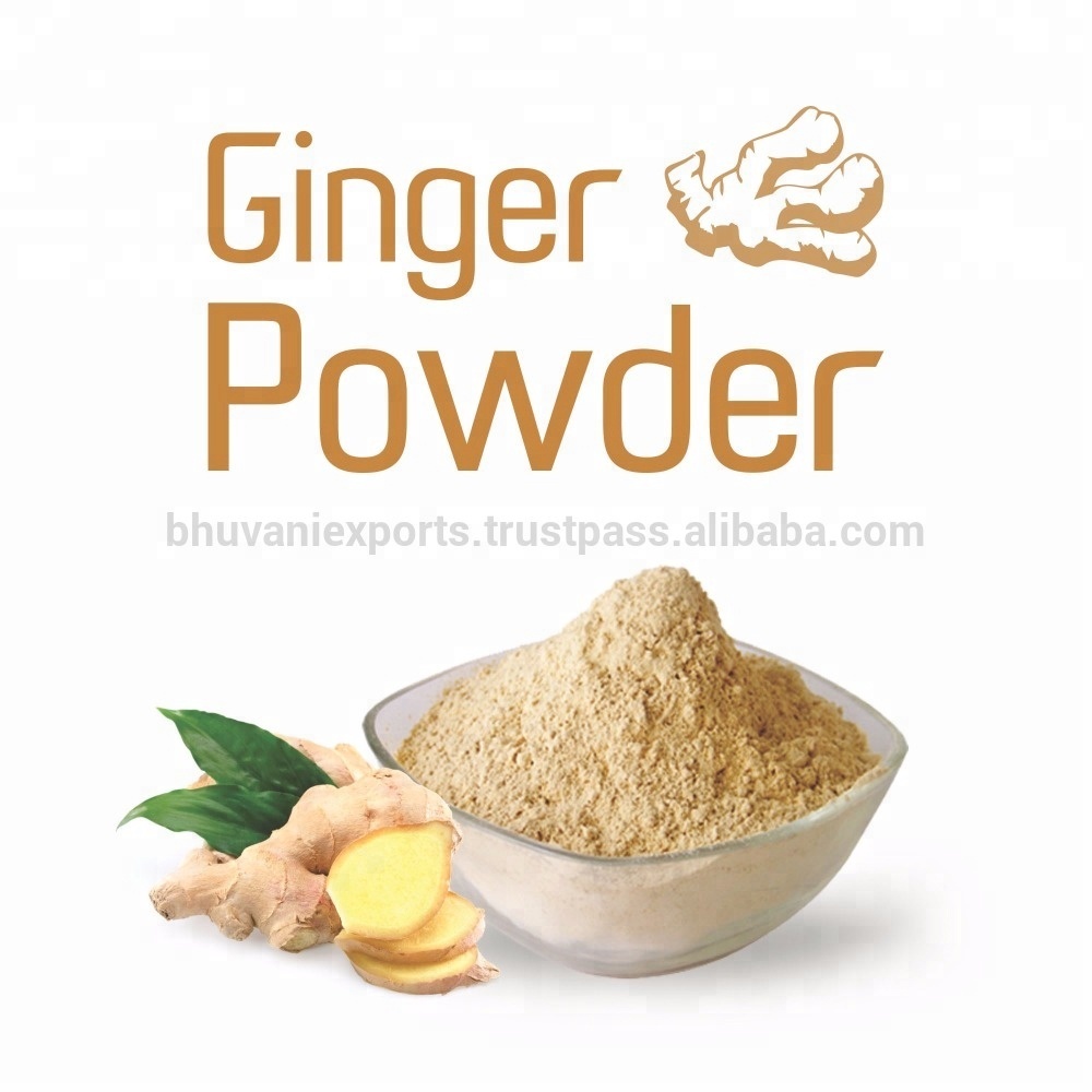 Ginger Extract Powder/Spices/Herbs!,India price supplier 21food