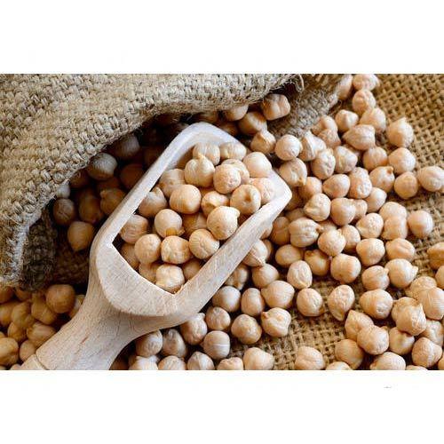 Hot sale white chickpeas available in 8/9/10/11/12/13 and 14 mm size new crop available at bulk price