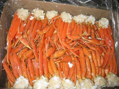 High Quality Frozen Red Snow Crab at affordable price